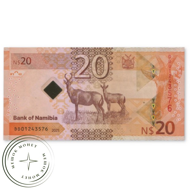Намибия 20 долларов 2025 — 937045645
