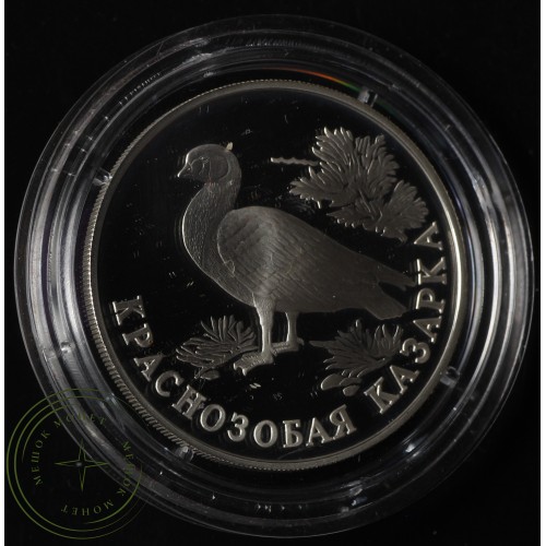1 рубль 1994 Краснозобая казарка