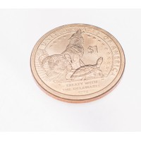 Монета США 1 доллар 2013 Договор с Делаварами