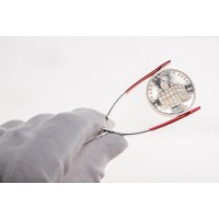 Монета 5 рублей 1991 Архангельский собор PROOF