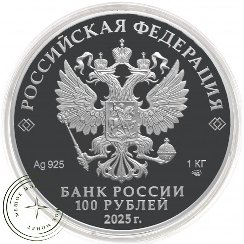 100 рублей 2025 Юбилей Победы советского народа в Великой Отечественной войне 1941–1945 гг — 937044382