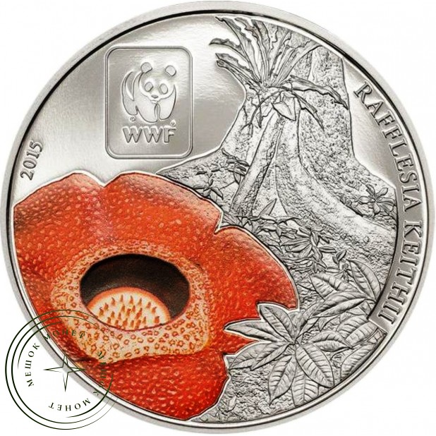 Центральная Африка 100 франков 2015 Раффлезия Китти — 937045993