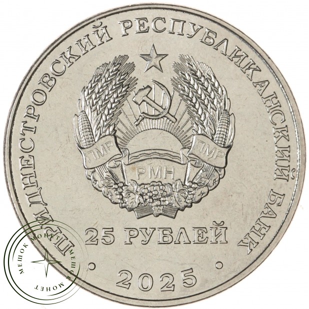 Приднестровье 25 рублей 2025 Международный год сохранения ледников