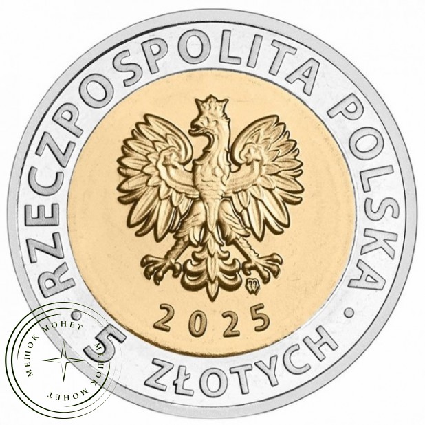 Польша 5 злотых 2025 Откройте для себя Польшу - Ратуша в Бжеге — 937045860