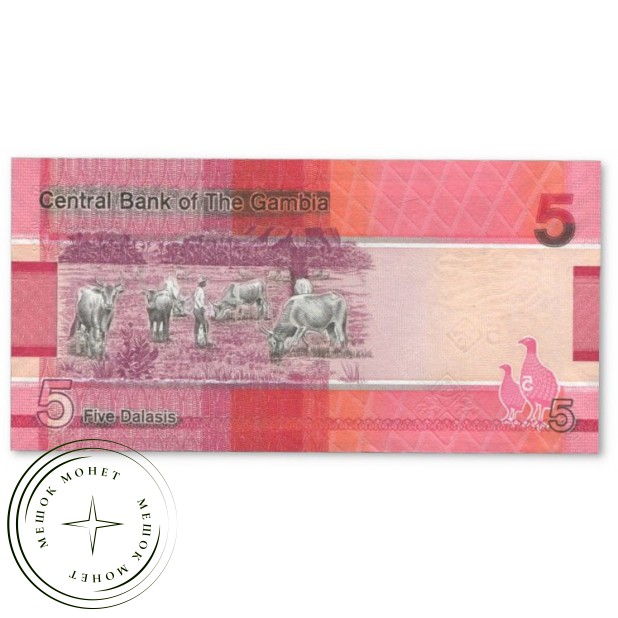 Гамбия 5 даласи 2023