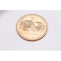 Монета США 1 доллар 2010 Пояс Гайавата