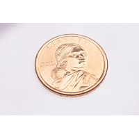 Монета США 1 доллар 2010 Пояс Гайавата