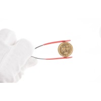 Монета 10 рублей 2013 20 лет Конституции РФ