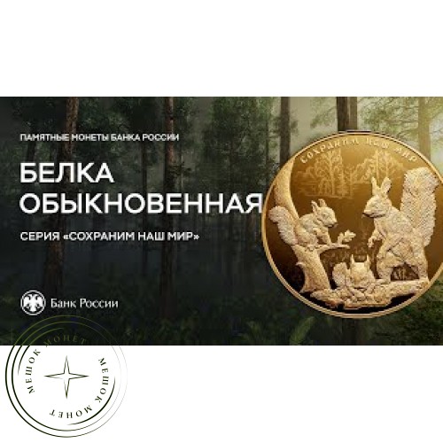 25 рублей 2023 Белка обыкновенная