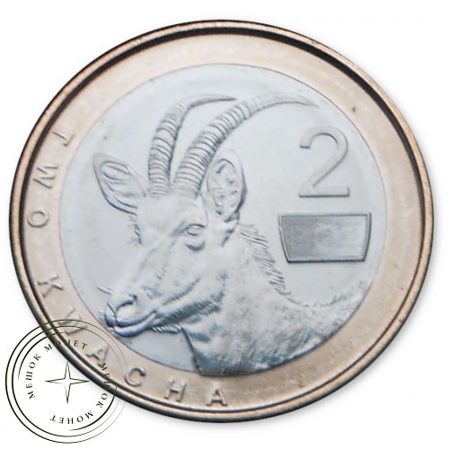 Замбия 2 квача 2024 — 937045855