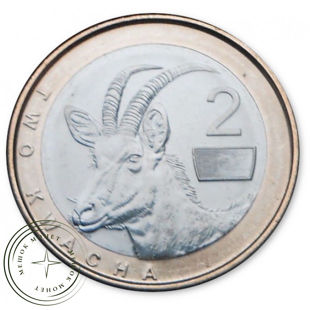 Замбия 2 квача 2024 — 937045855