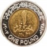 Египет 1 фунт 2007 — 937043866