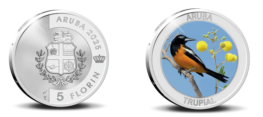 Реверс серебряной монеты 5 флоринов Аруба Трупіал с цветным изображением птицы на ветке с цветком, надпись ARUBA TRUPIAL, качество prooflike с цветной печатью