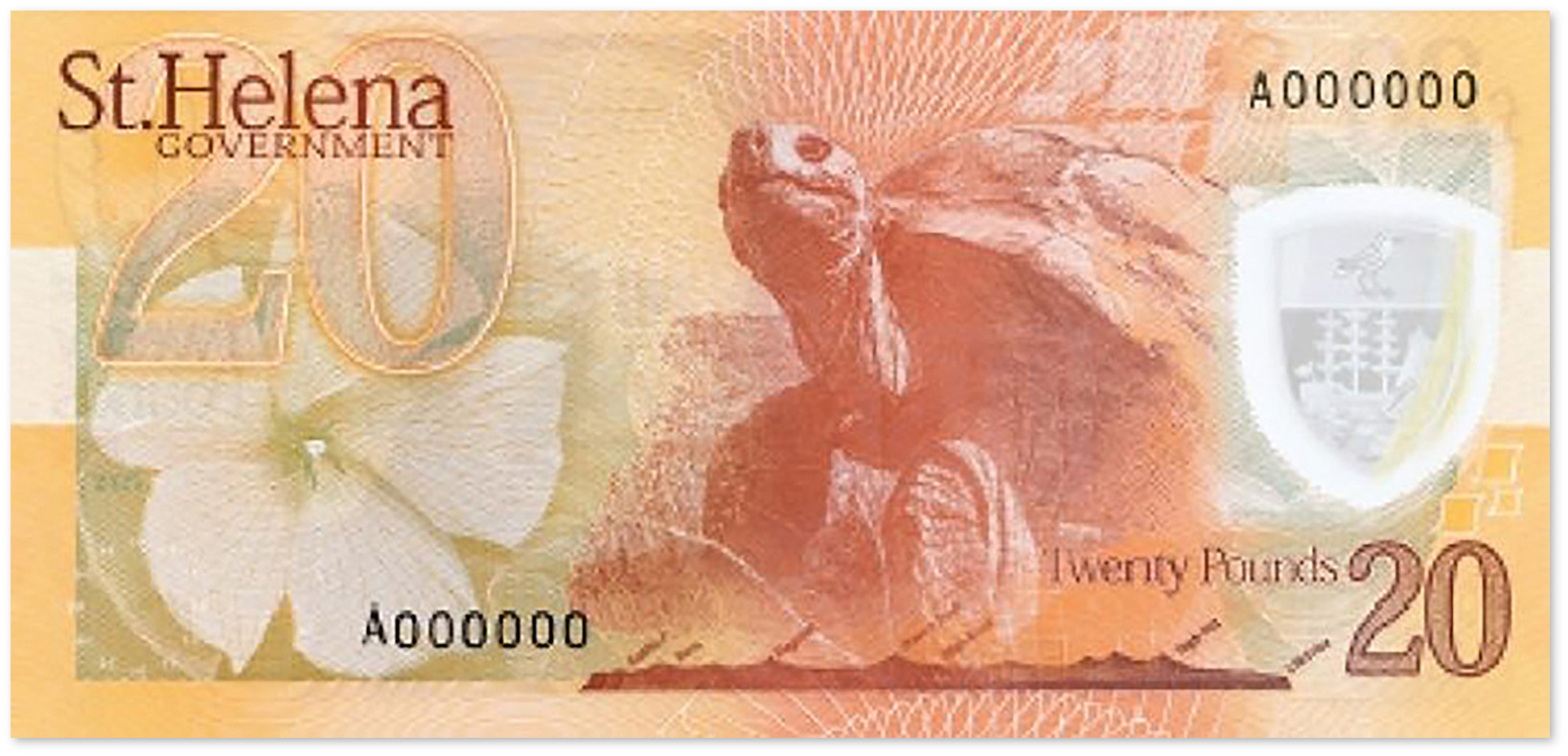 Полимерная банкнота Святой Елены 20 фунтов 2026 года портрет короля Карла III и черепаха Джонатан