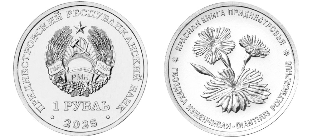 Памятная монета Приднестровья 2025 года — гвоздика изменчивая, серия Красная книга Приднестровья