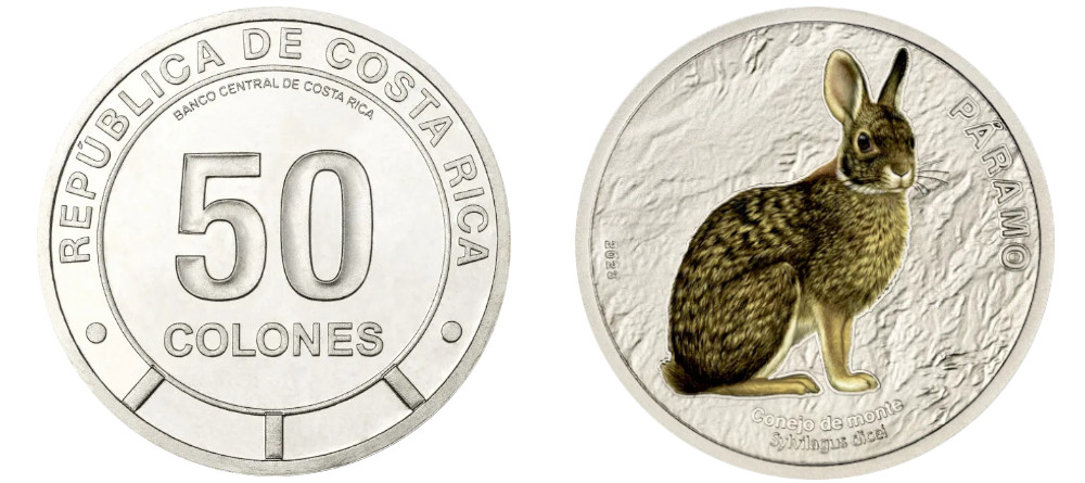 Монета Коста-Рики 50 колонов с кроликом монте из серии Фауна экосистем